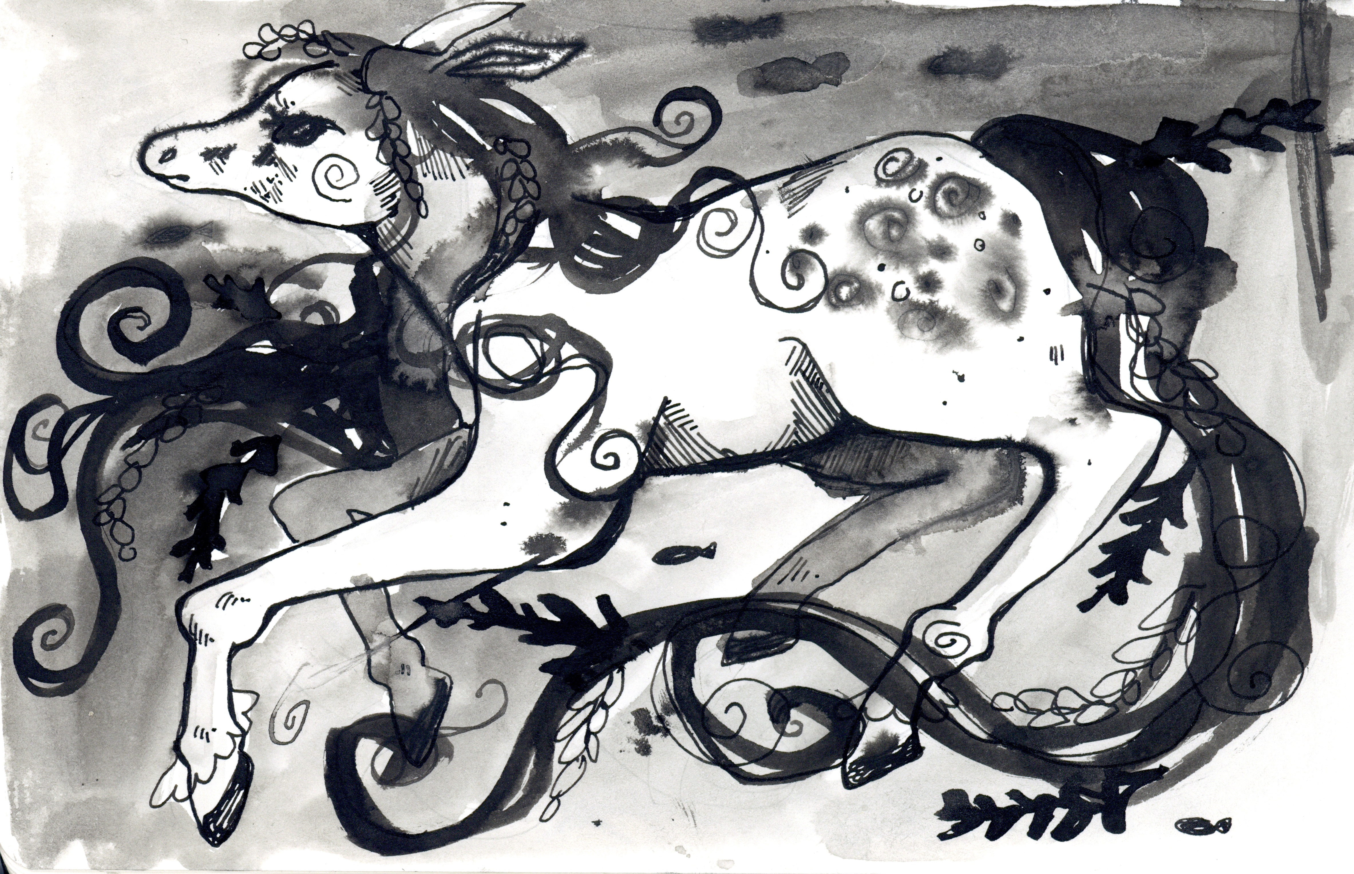 kelpie — illustration by Maya Babeanu