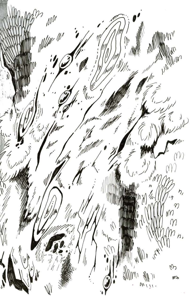 markings — illustration by Maya Babeanu